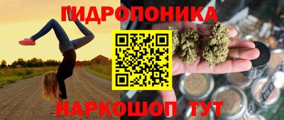 мяу мяу мука Краснознаменск